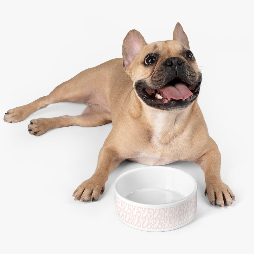 Lisslune | Elegant hand-painted ceramic pet bowl with artistic print detail