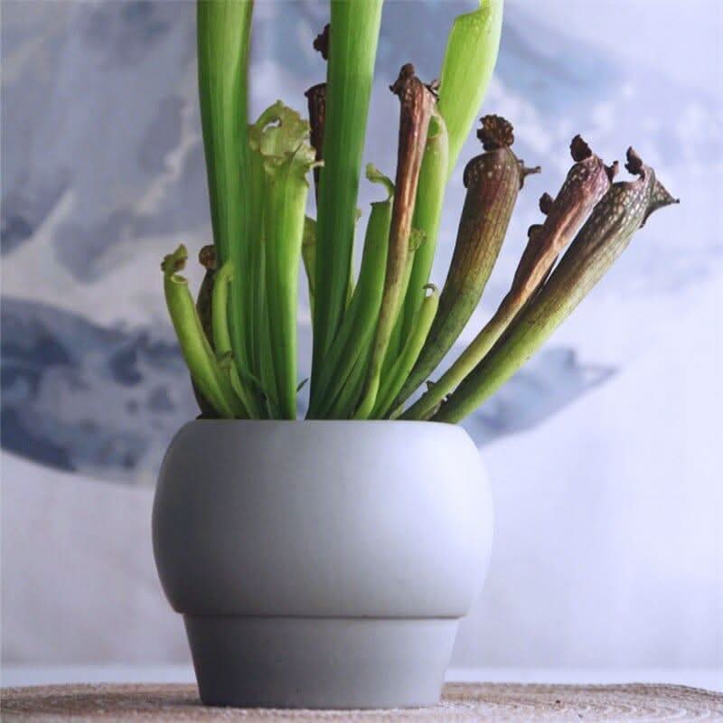 Lisslune | SYLENA – Elegant ceramic vase for timeless design