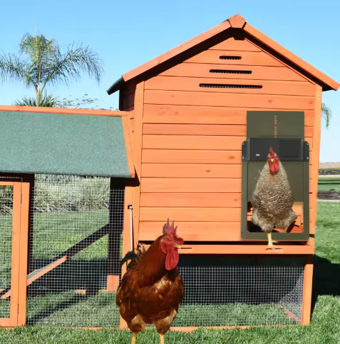 Lisslune | Automatic Chicken Coop Door Opener with Timer and Light Sensor