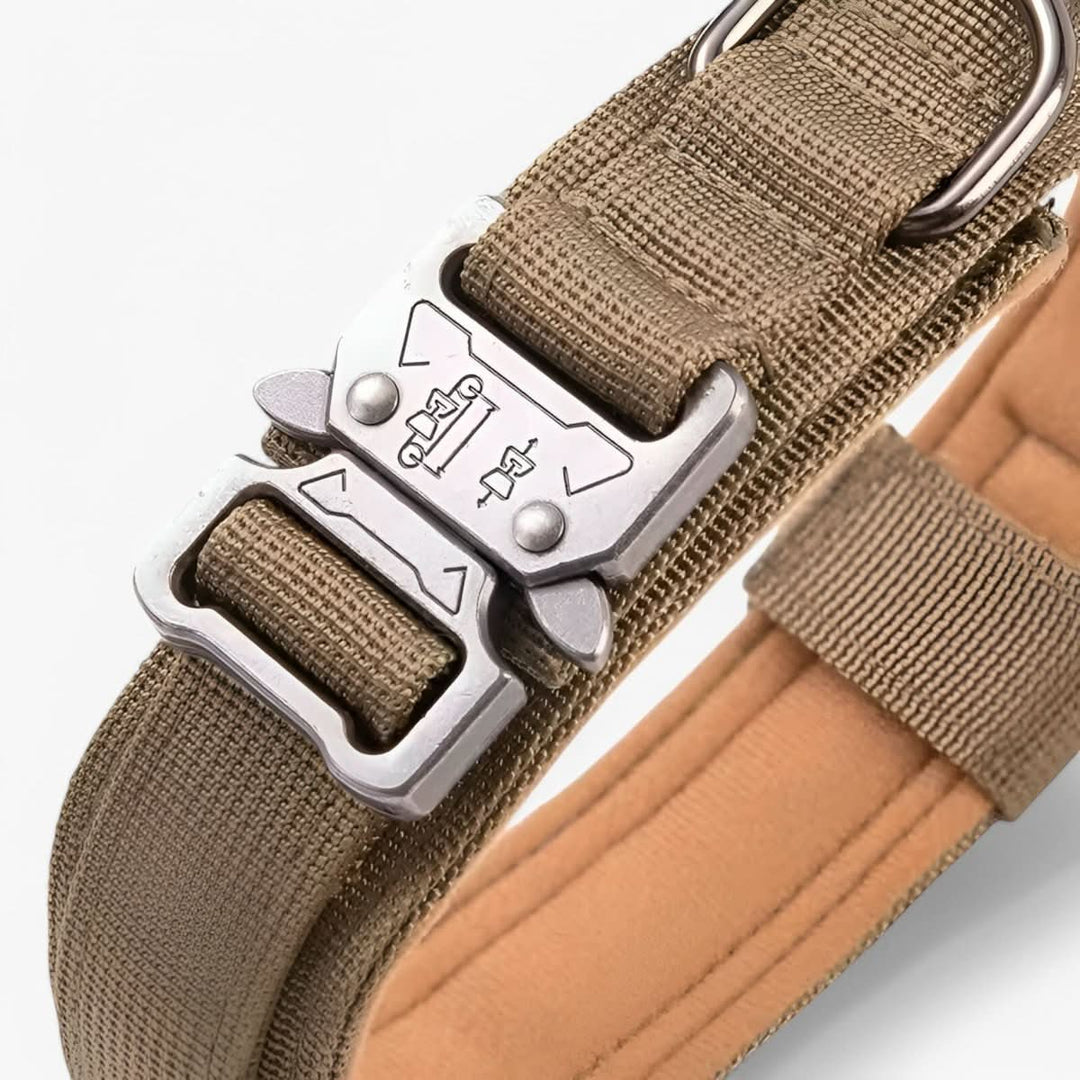 Lisslune | Adjustable Dog Collar Set for Adventures and Daily Training