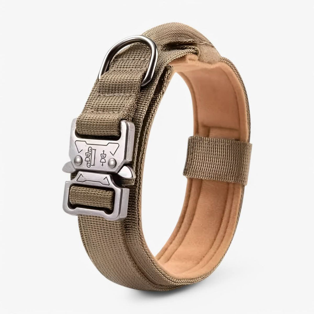Lisslune | Adjustable Dog Collar Set for Adventures and Daily Training
