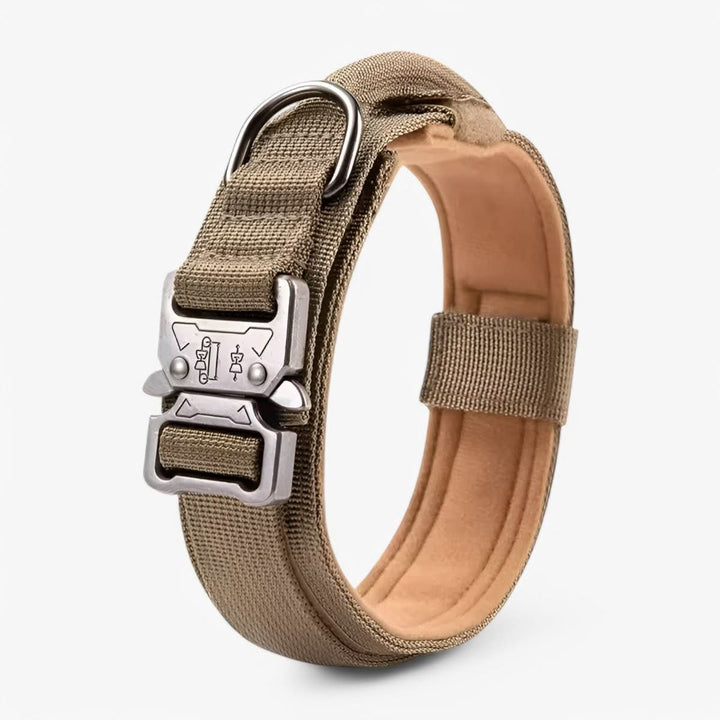 Lisslune | Adjustable Dog Collar Set for Adventures and Daily Training