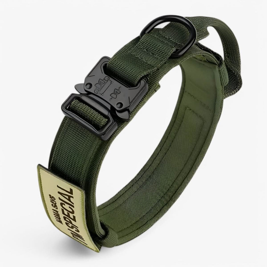 Lisslune | Adjustable Dog Collar Set for Adventures and Daily Training