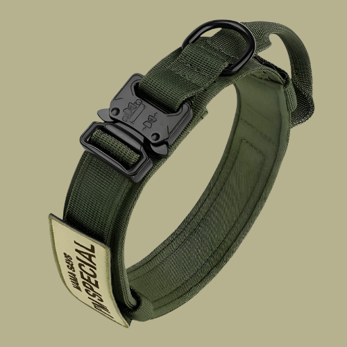 Lisslune | Adjustable Dog Collar Set for Adventures and Daily Training