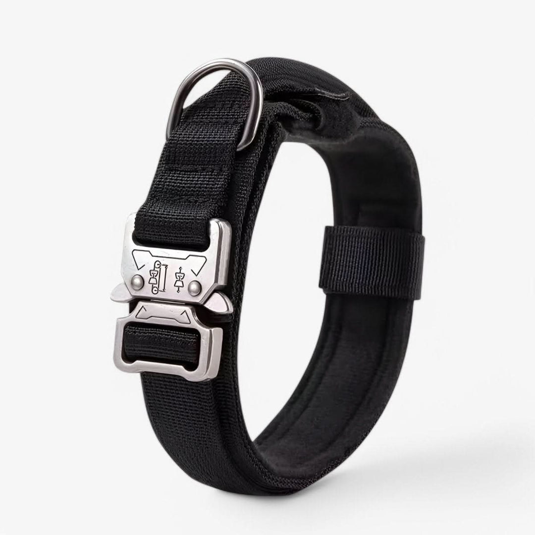 Lisslune | Adjustable Dog Collar Set for Adventures and Daily Training