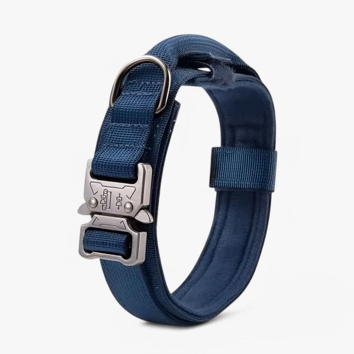 Lisslune | Adjustable Dog Collar Set for Adventures and Daily Training