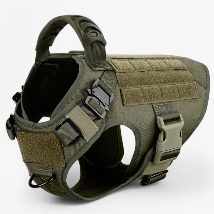 Lisslune | Adjustable Dog Harness for Safe and Comfortable Training