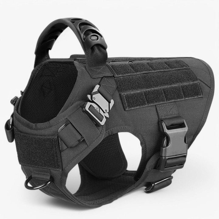 Lisslune | Adjustable Dog Harness for Safe and Comfortable Training