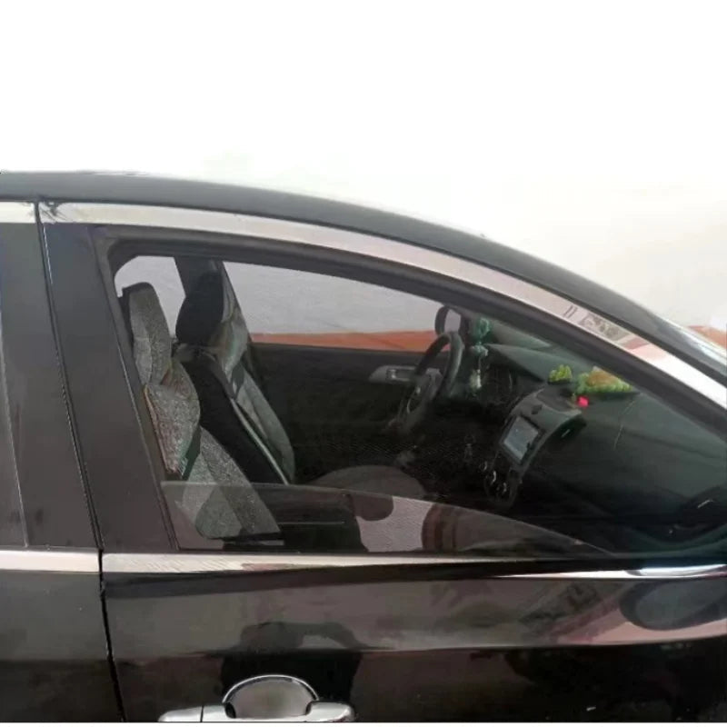 Lisslune | Car protection net: Sun protection & thermal insulation