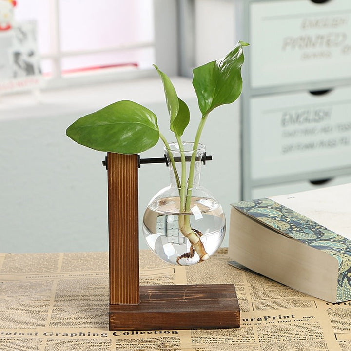 Rynx | Terrarium Bottle Plant Vase