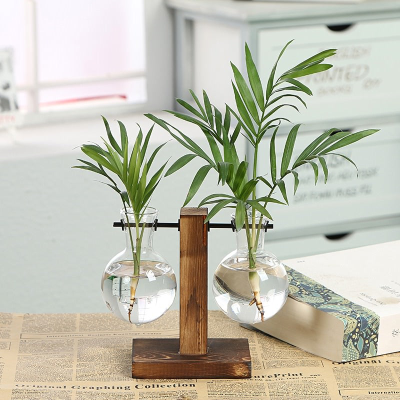 Rynx | Terrarium Bottle Plant Vase