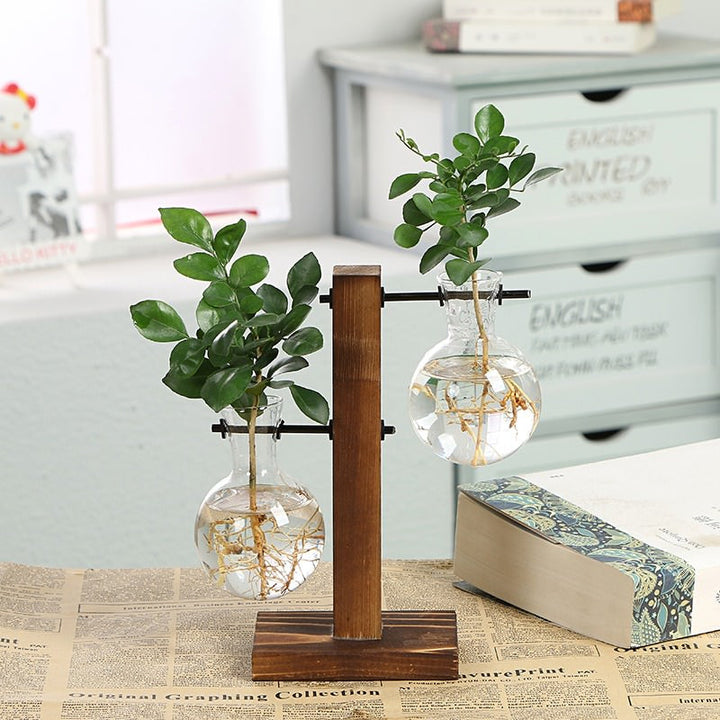 Rynx | Terrarium Bottle Plant Vase