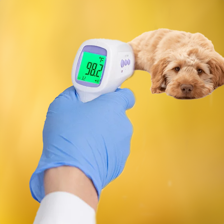 Lisslune | No-Contact Dog Thermometer with One Click Reading