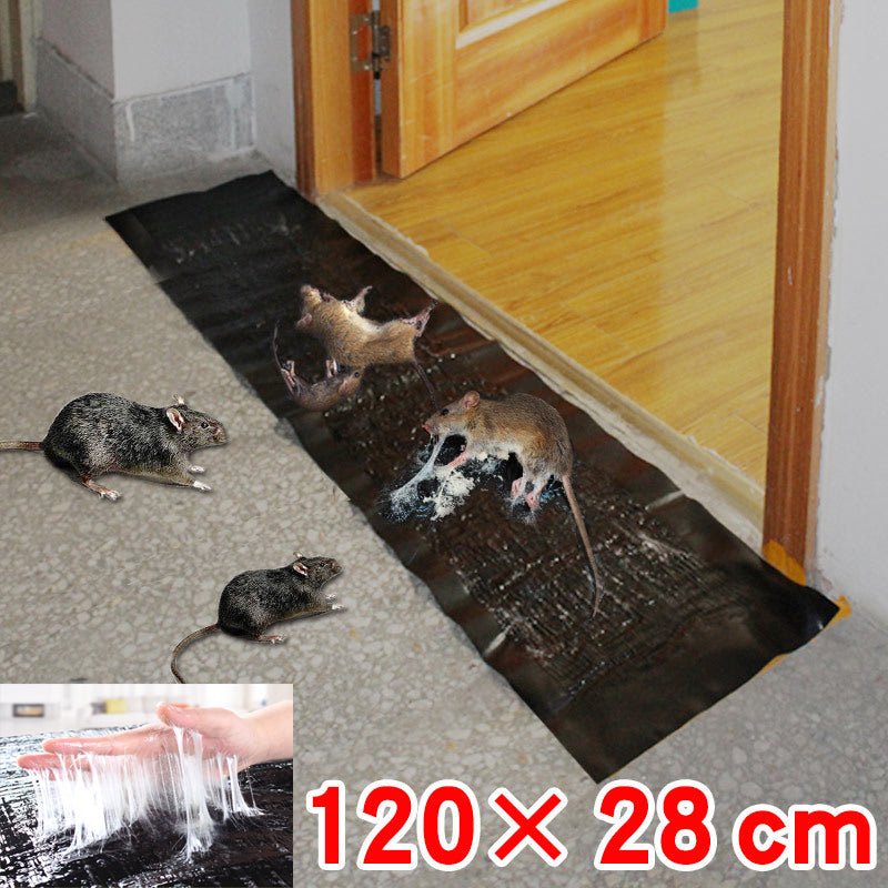 Lisslune | TRAPZONE MAX – Large Non-Toxic Sticky Trap for Effective Pest Control