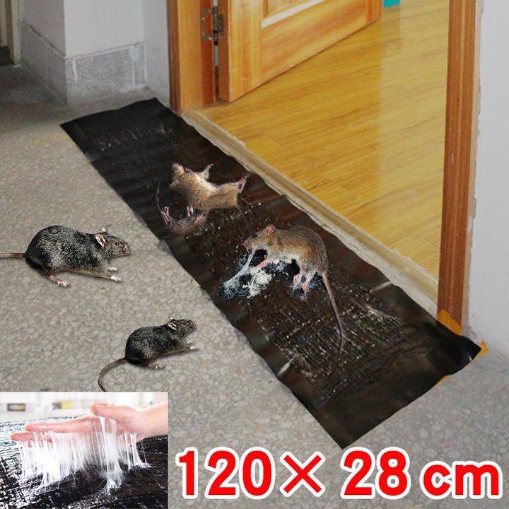 Lisslune | TRAPZONE MAX – Large Non-Toxic Sticky Trap for Effective Pest Control