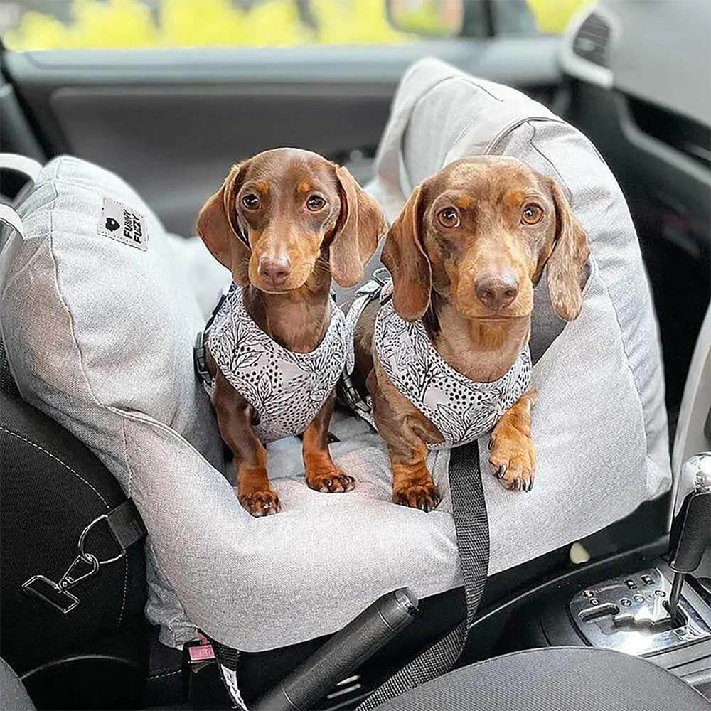 Lisslune | Travelpup – Dog Seat Bed for Safe & Comfortable Car Rides