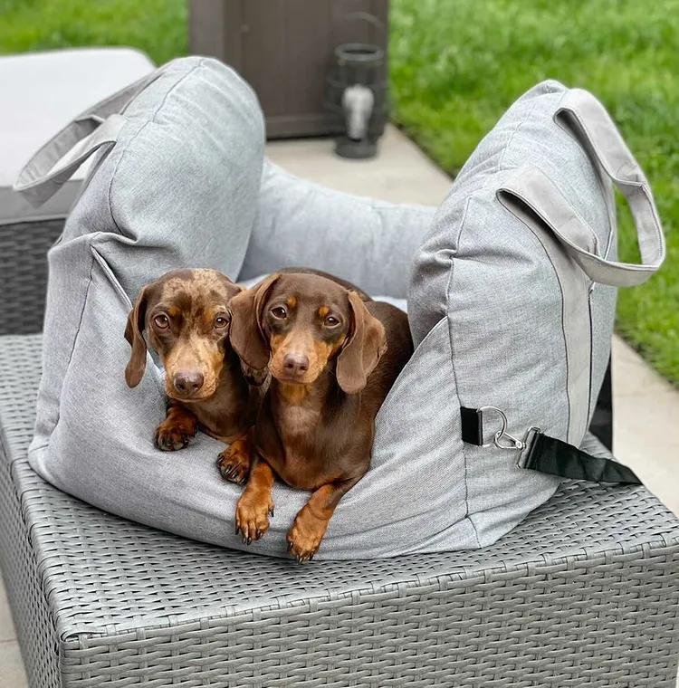 Lisslune | Travelpup – Dog Seat Bed for Safe & Comfortable Car Rides