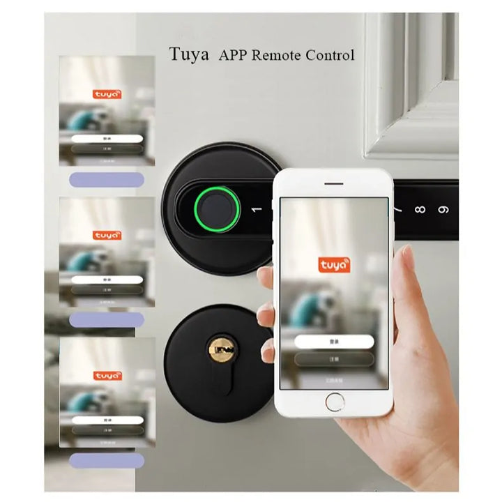 Lisslune | Biometric intelligent lock