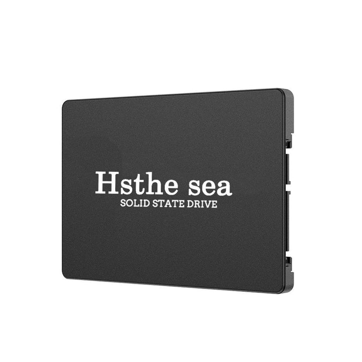 Lisslune | Lightning Fast SSD: Enhance your computing experience with fast boot times and effortless data transfer