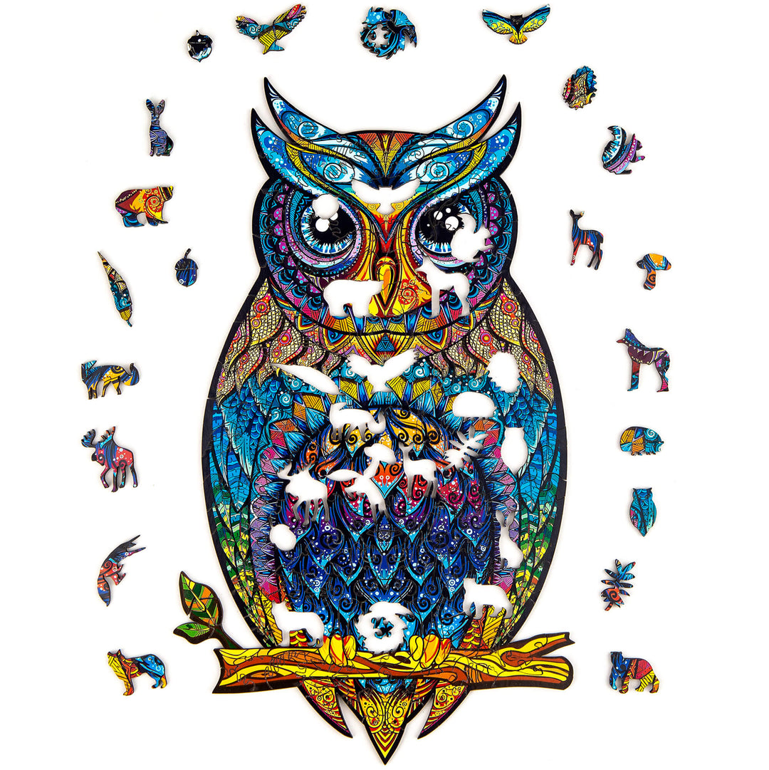Lisslune | The graceful owl