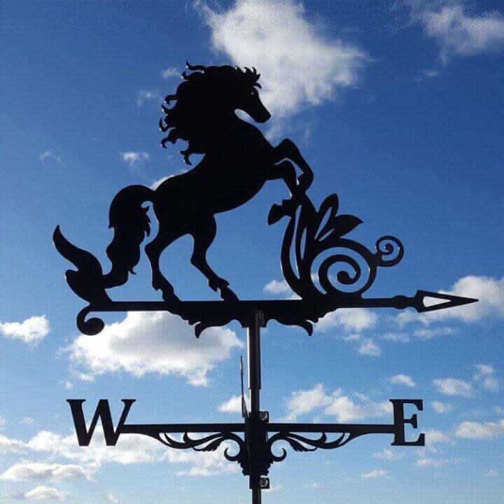 Lisslune | Unique Garden Wind Vane Decorative Stainless Steel
