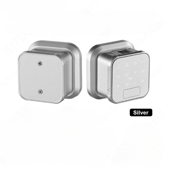 Lisslune | Keyless Entry Smart Wifi Electronic Fingerprint Lock