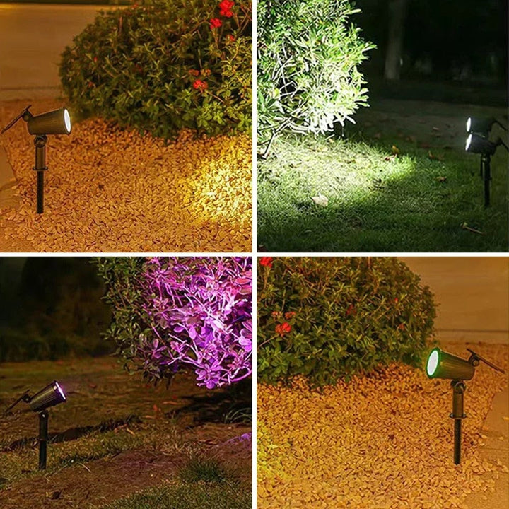 Lisslune | Solar-Powered LED Garden Spotlight | Weather-Resistant, Adjustable & Ideal for Pathways, Patios & Outdoor Spaces