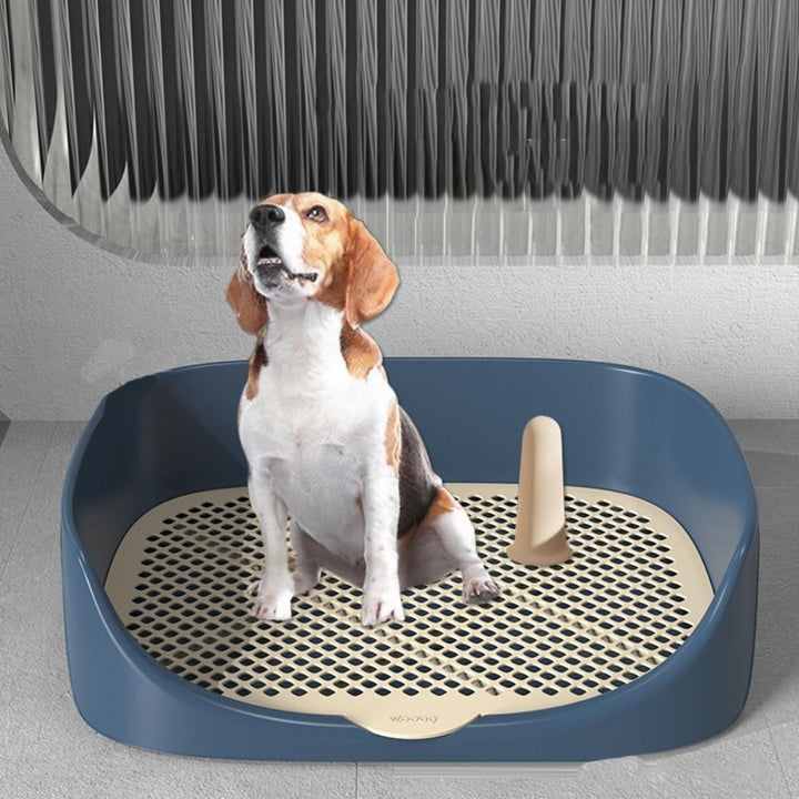 Lisslune | VICTOR TRAINER – Practical Toilet Trainer for Puppies with Anti-Splash Protection