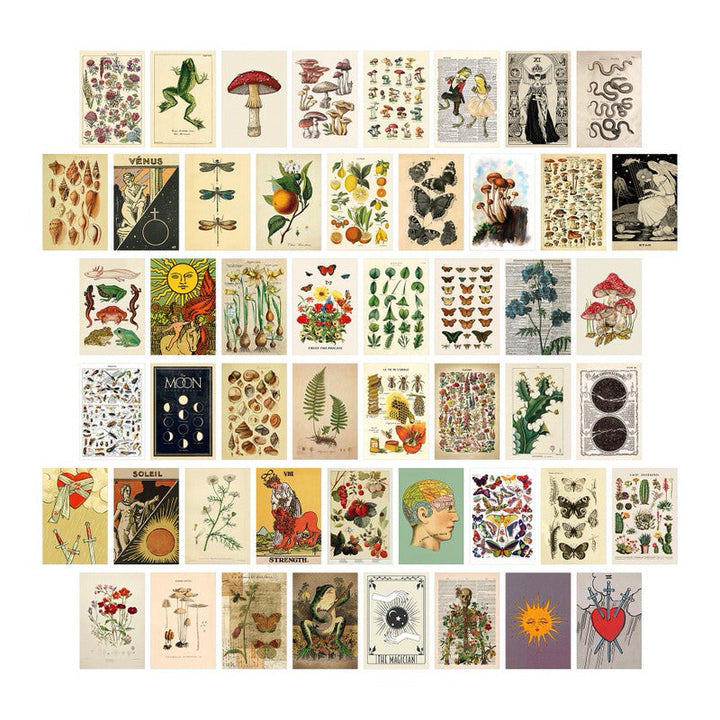 Rynx | Retro Botanical Wall Collage Cards