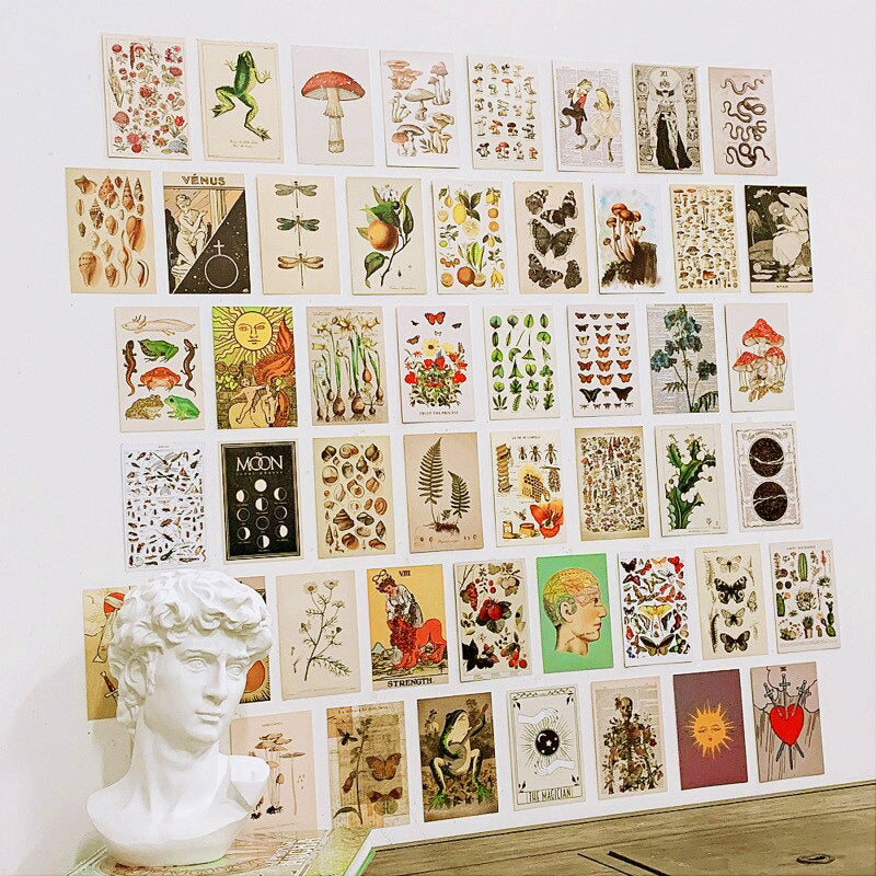 Rynx | Retro Botanical Wall Collage Cards