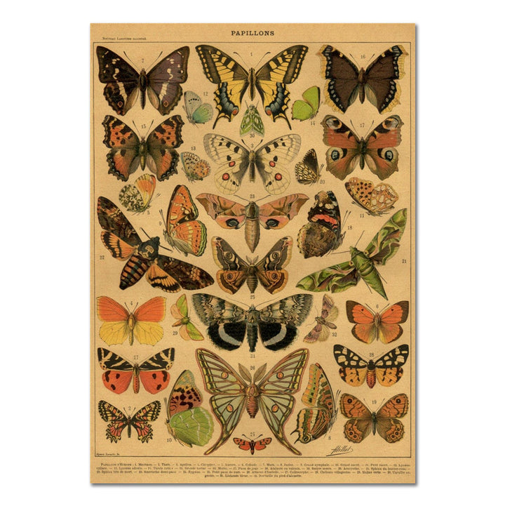 Rynx | Papillons Kraft Paper Poster
