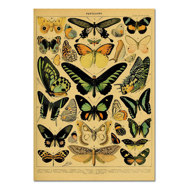 Rynx | Papillons Kraft Paper Poster