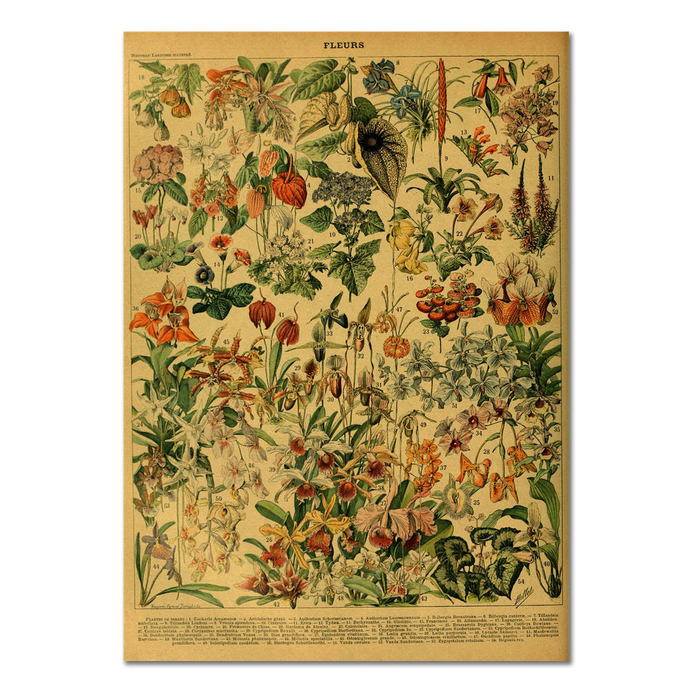 Rynx |Flowers Vintage Kraft paper poster