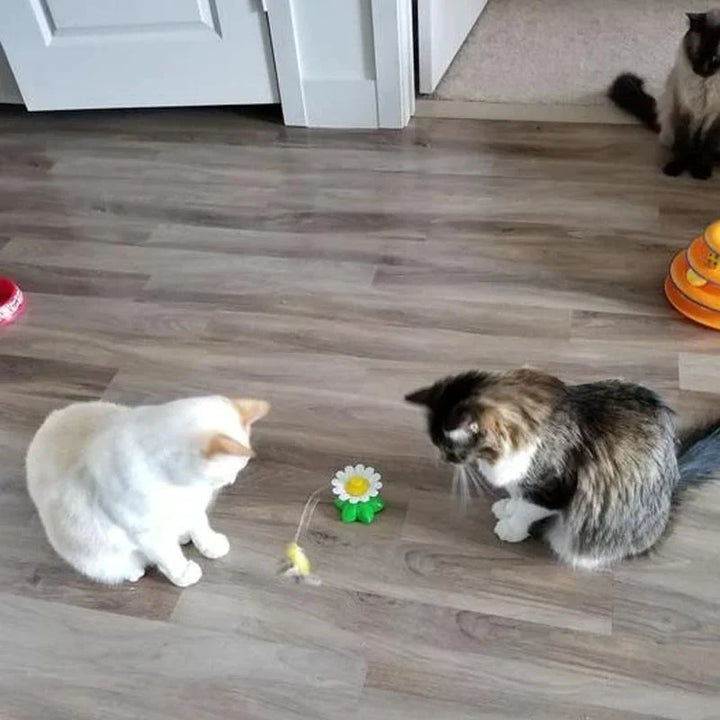 Lisslune | Interactive Cat Toy