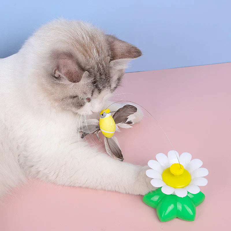 Lisslune | Interactive Cat Toy