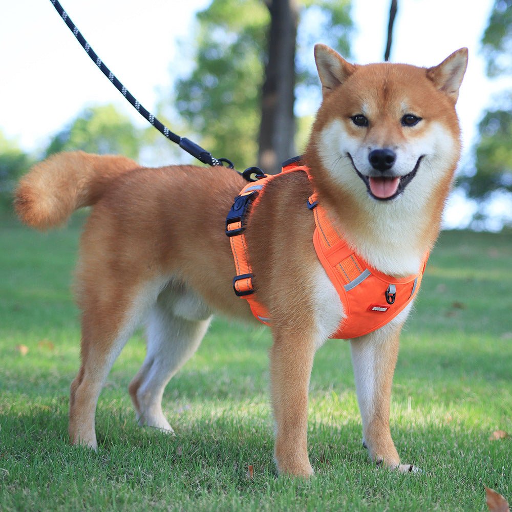 Lisslune | WalkEase Harness – Anti-pull dog harness for relaxed walks & healthy posture