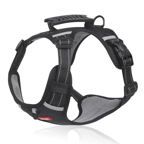 Lisslune | WalkEase Harness – Anti-pull dog harness for relaxed walks & healthy posture