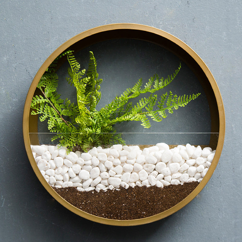 Rynx Sand Art Wall Planter Box