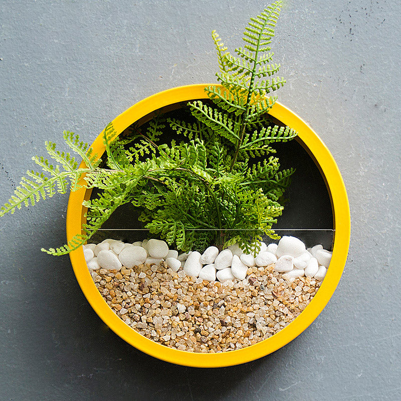 Rynx Sand Art Wall Planter Box