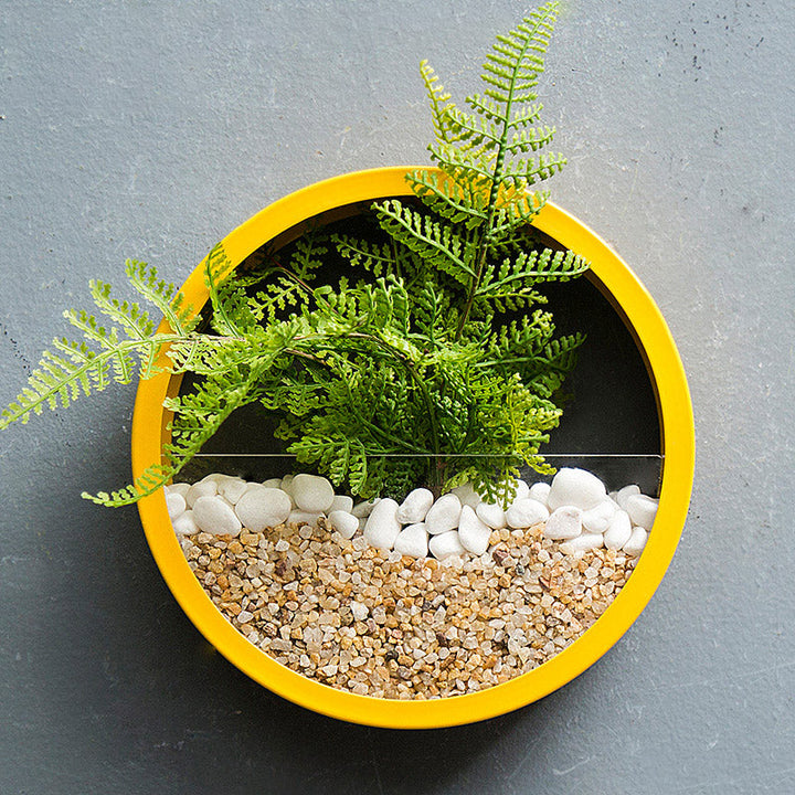 Rynx Sand Art Wall Planter Box