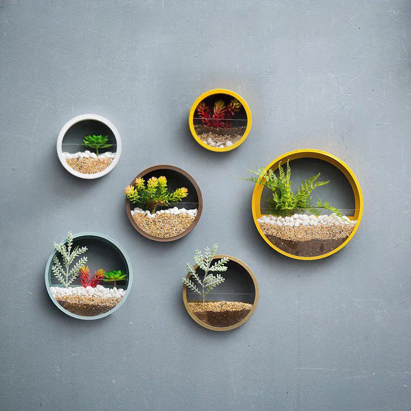Rynx Sand Art Wall Planter Box