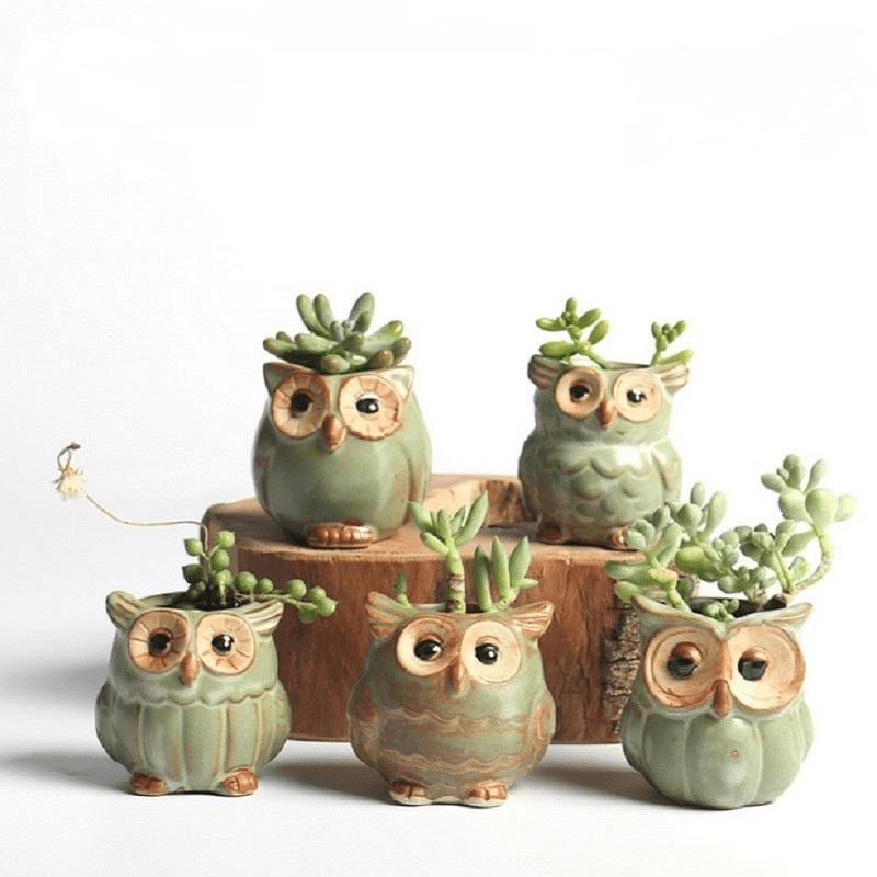 Lisslune | Owls Ceramic Flower Pot Set 5-piece