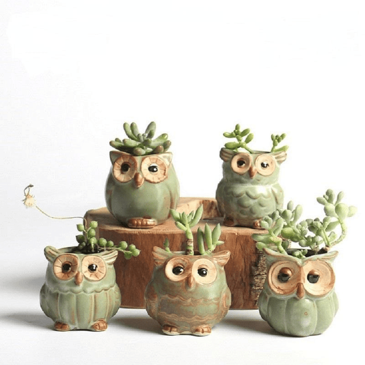 Lisslune | Owls Ceramic Flower Pot Set 5-piece
