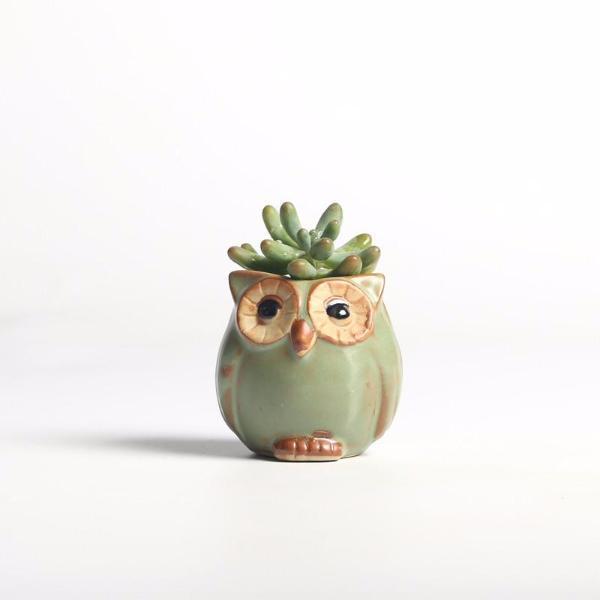 Lisslune | Owls Ceramic Flower Pot Set 5-piece