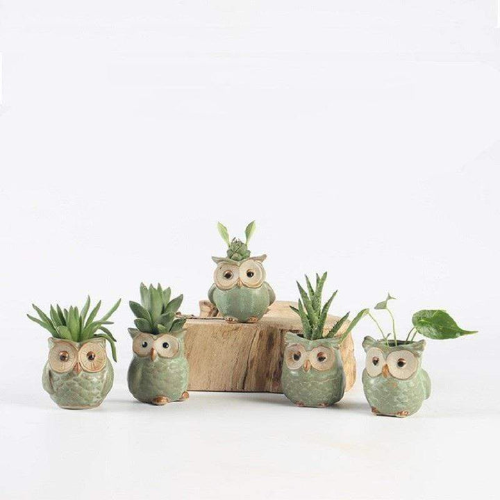 Lisslune | Owls Ceramic Flower Pot Set 5-piece