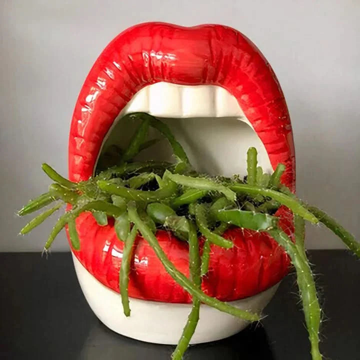 Lisslune | Patty - Unique lip-shaped plant pot