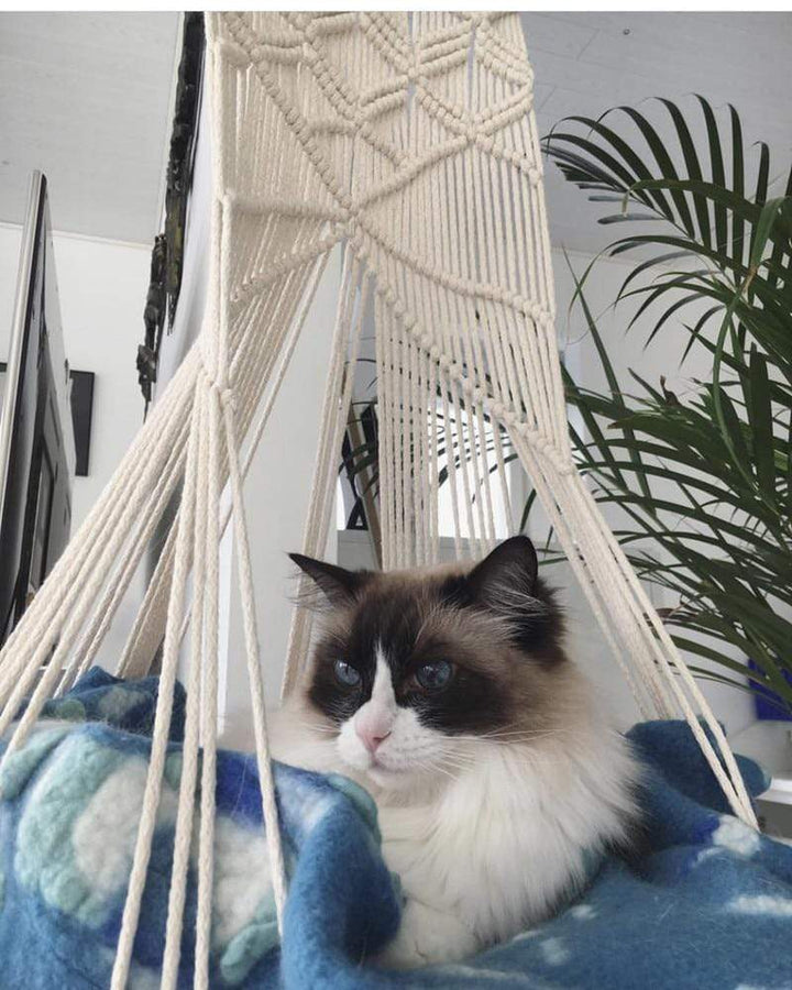 Lisslune | Macrame Wall Hanging Cat Bed