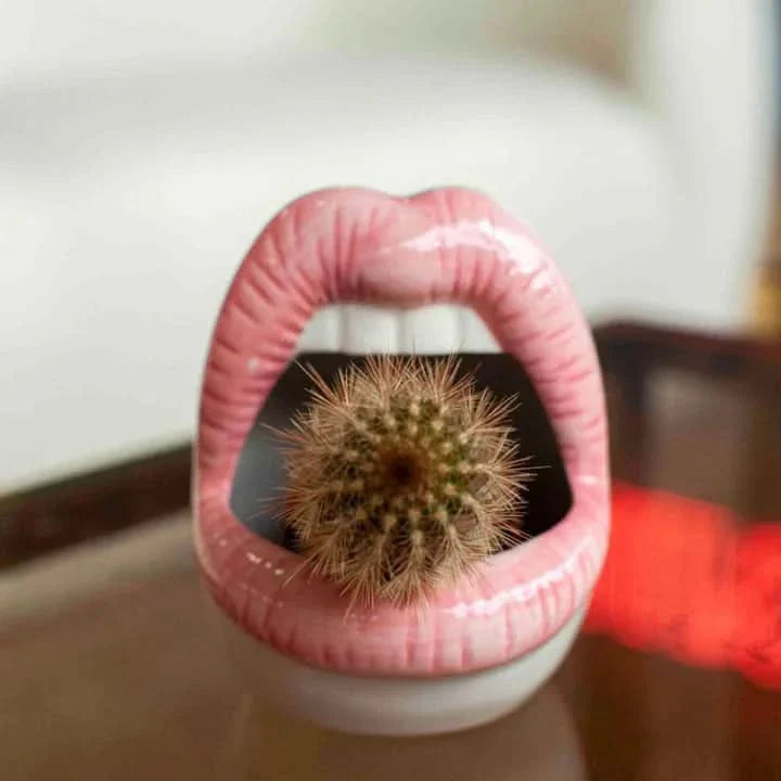 Lisslune | Patty - Unique lip-shaped plant pot