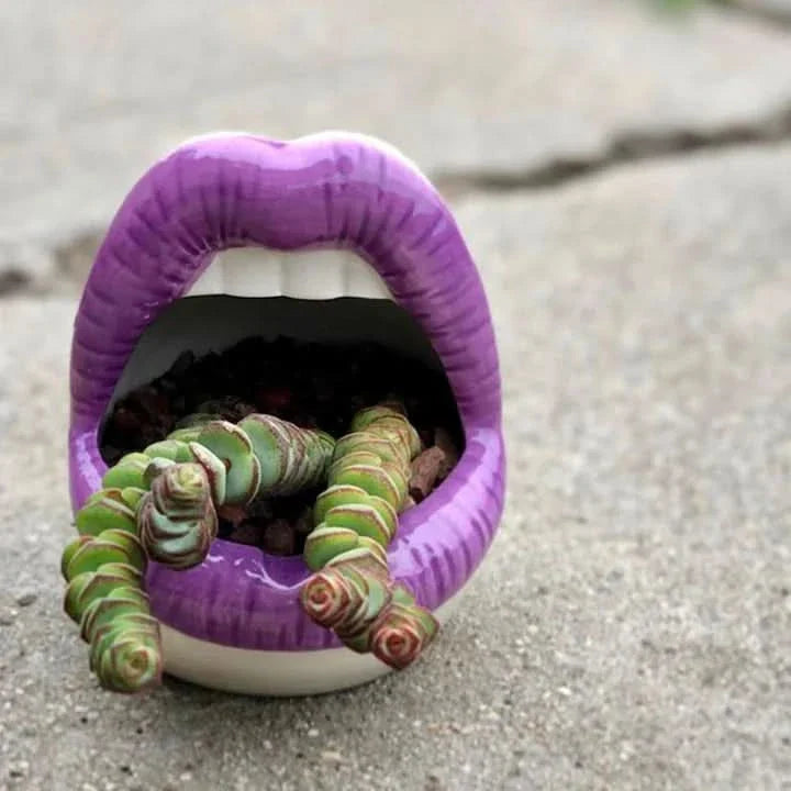 Lisslune | Patty - Unique lip-shaped plant pot
