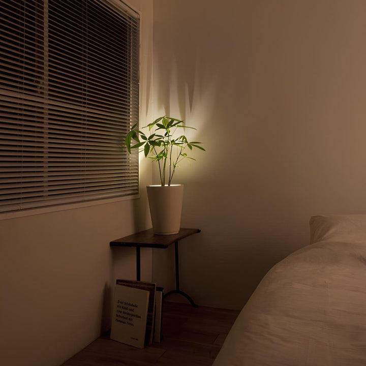 Lisslune | Wireless LED Spotlight - LumaSpot